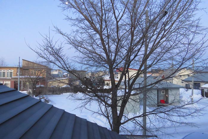 webnews�����̖k���^���̋�