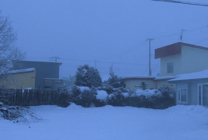 webnews�����̖k��