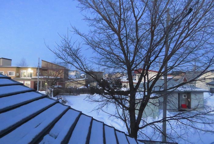 webnews�����̖k���^���̋�