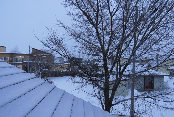 webnews�����̖k���^���̋�