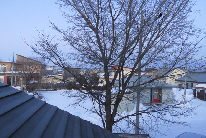 webnews�����̖k���^���̋�