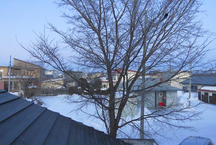 webnews�����̖k���^���̋�