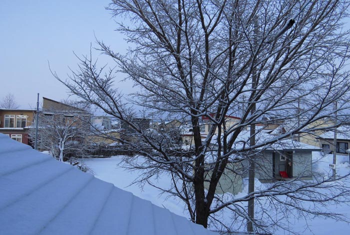 webnews�����̖k���^���̋�