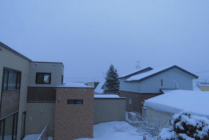 webnews�����̖k���^���̋�