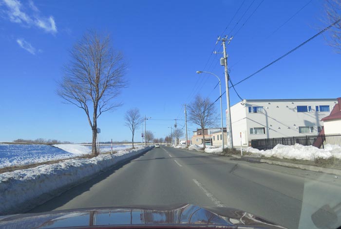 webnews�����̖k���^���̎q�_��