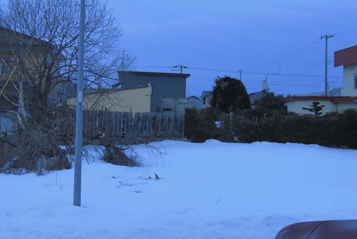 webnews�����̖k��