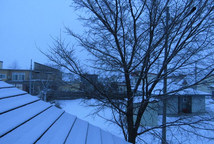 webnews�����̖k���^���̋�