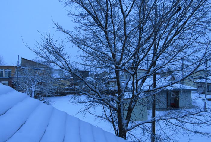 webnews�����̖k���^���̋�