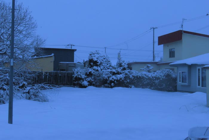 webnews�����̖k��