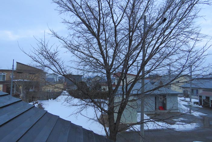 webnews�����̖k���^���̋�