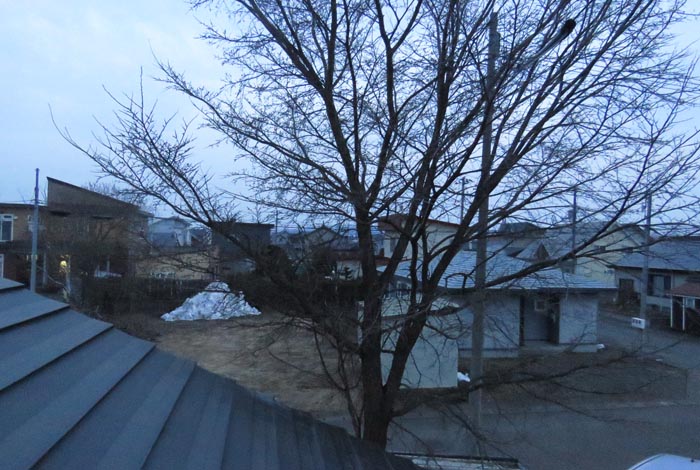 webnews�����̖k���^���̋�